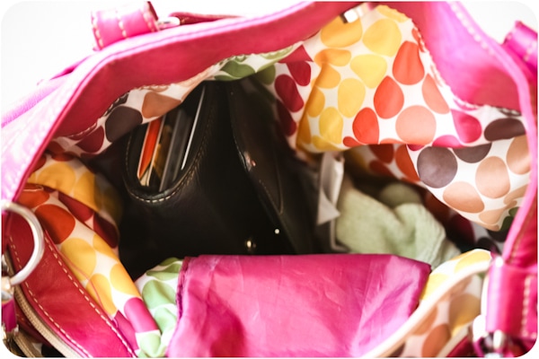 11Jan19_purse_12